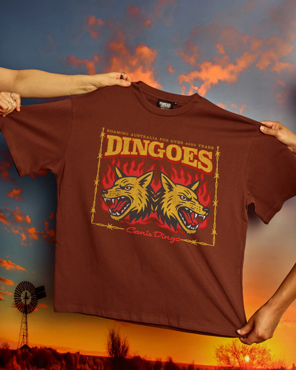 Territory Dingoes Oversized Tee - Image 2