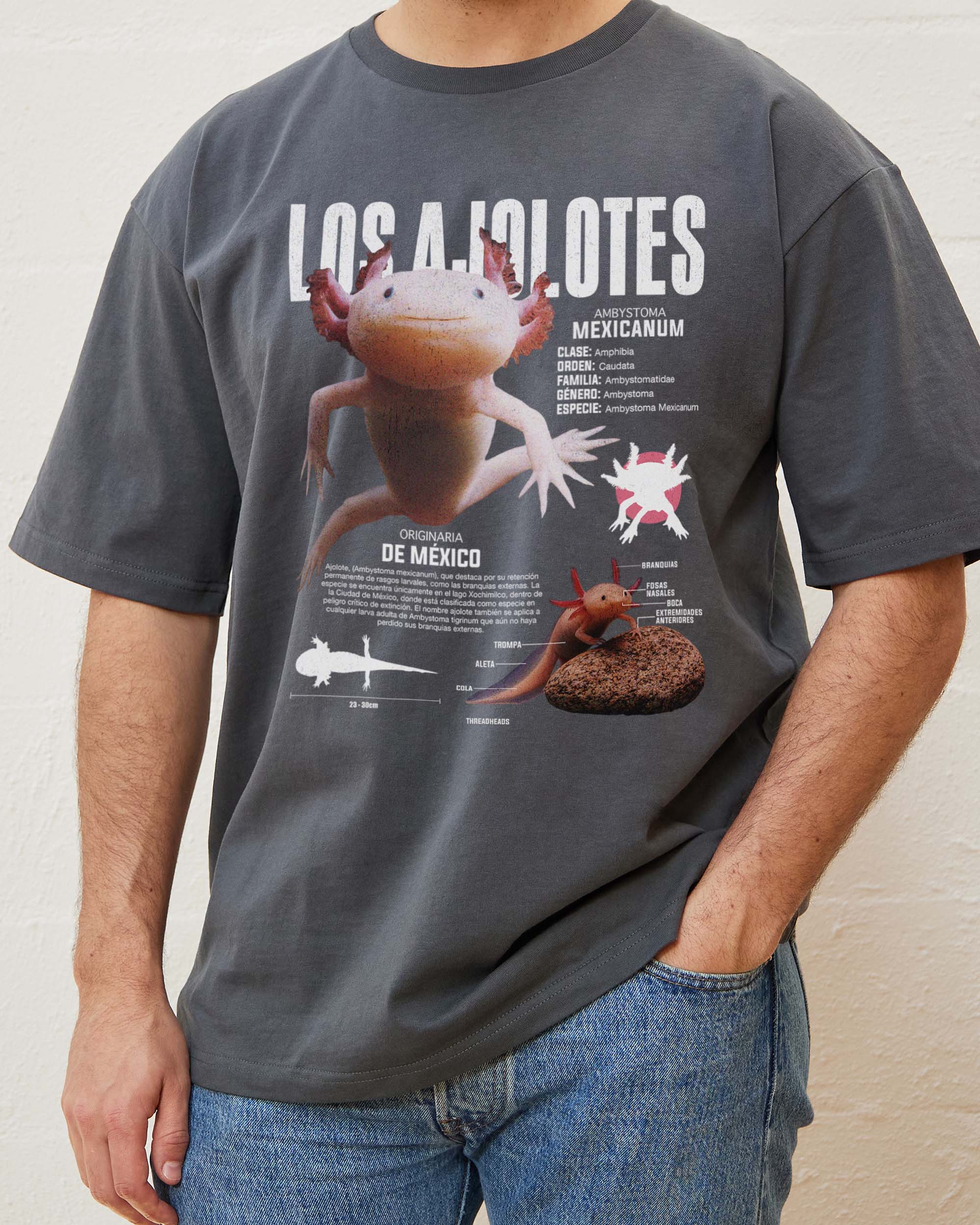 Los Ajolotes T-Shirt - Image 7