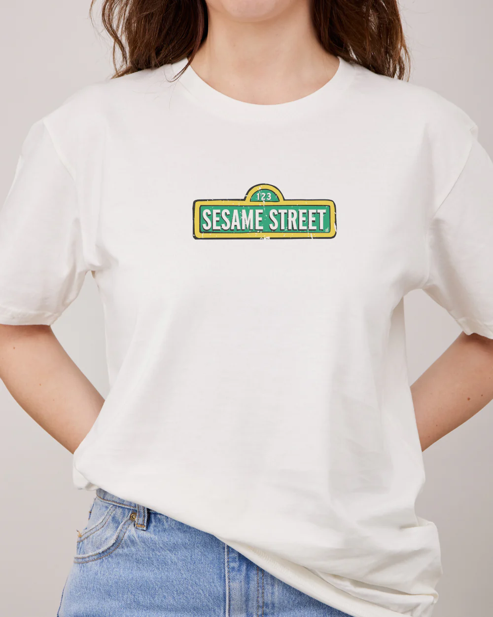 Sesame Street The Gang's All Here T-Shirt - Image 4